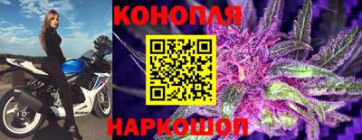 винт Краснодар