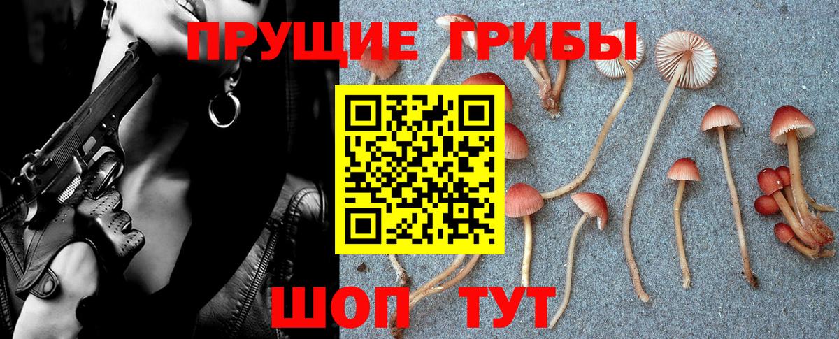 Псилоцибиновые грибы Cubensis  Вход с VPN  Елец 