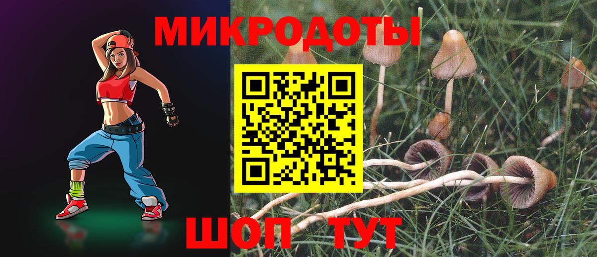 Галлюциногенные грибы Magic Shrooms Елец